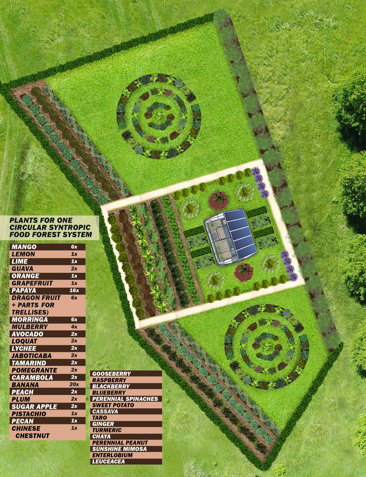 edible landscape design services