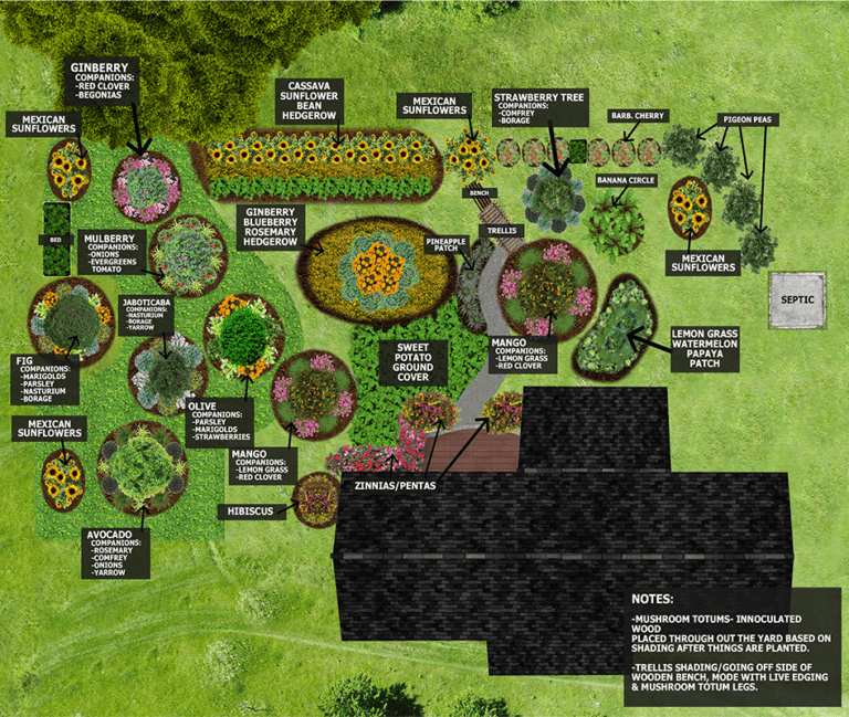 food-forest-render food forest abundance digital render