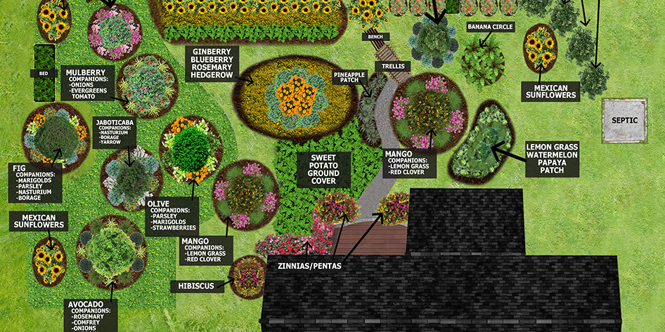 food-forest-render food forest abundance digital render