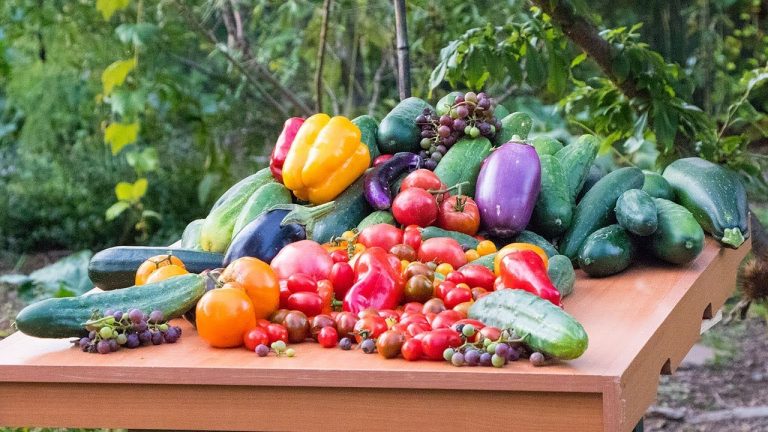 top ten reason to grow food grow your own food