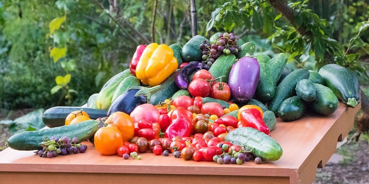 top ten reason to grow food grow your own food