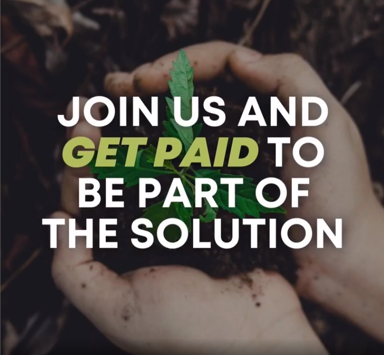 Abundance Ambassador Program at Food Forest Abundance
