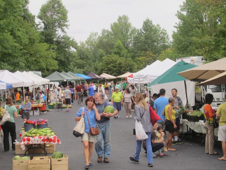 the positive impact of investing in local food production, not only on the environment but on the local community as well