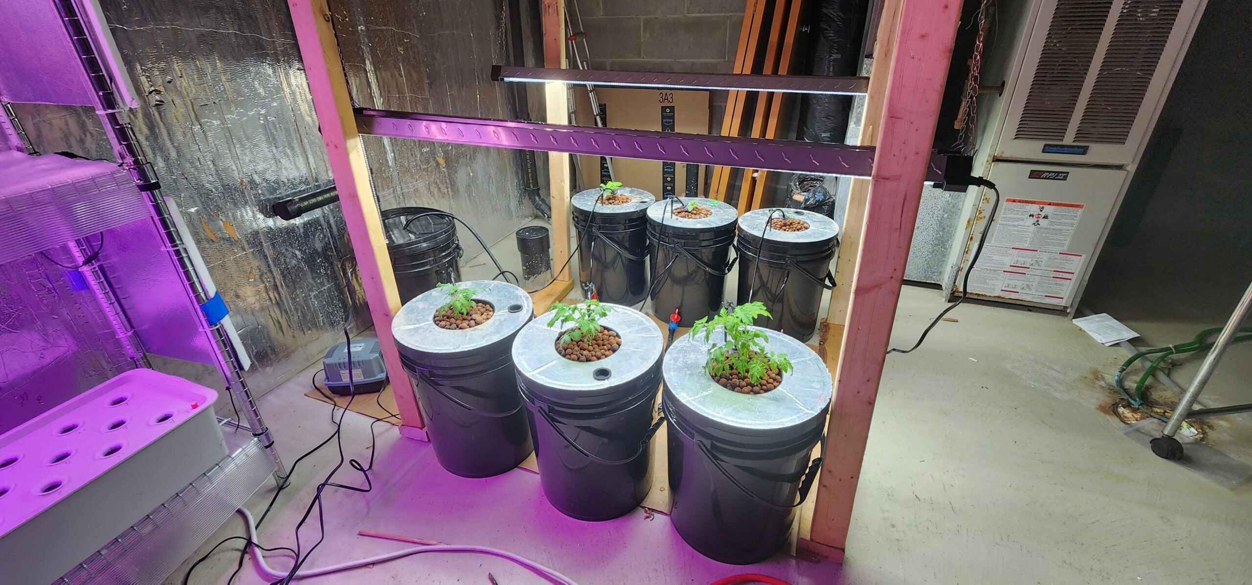 Discover the benefits of indoor gardening with a Deep Water Culture Bucket System