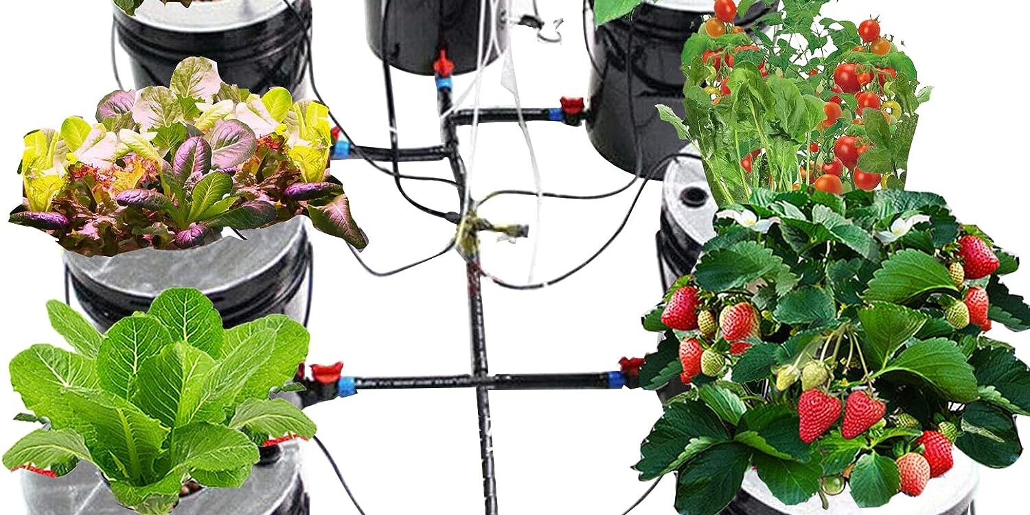 Green Indoors Mastering the Deep Water Culture Bucket System 2 Indoor garden flourishing with plants grown using a Deep Water Culture Bucket System
