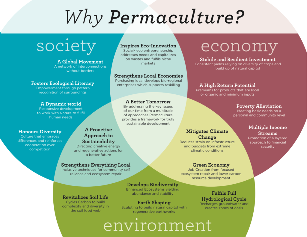 How Permaculture Can Revolutionize Sustainable Agriculture