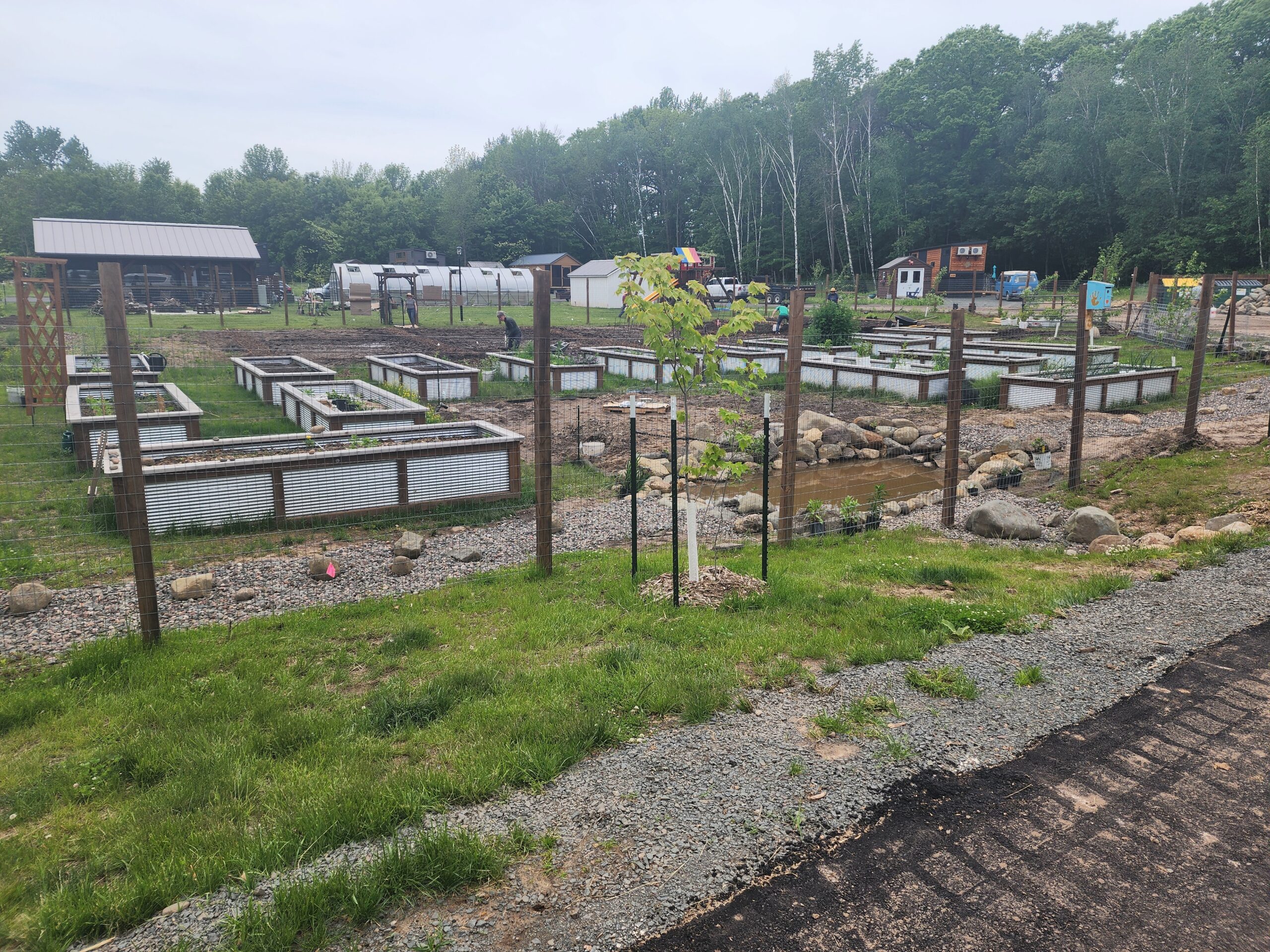 Minnesota local food resilience through neighbors growing fresh food in a community garden